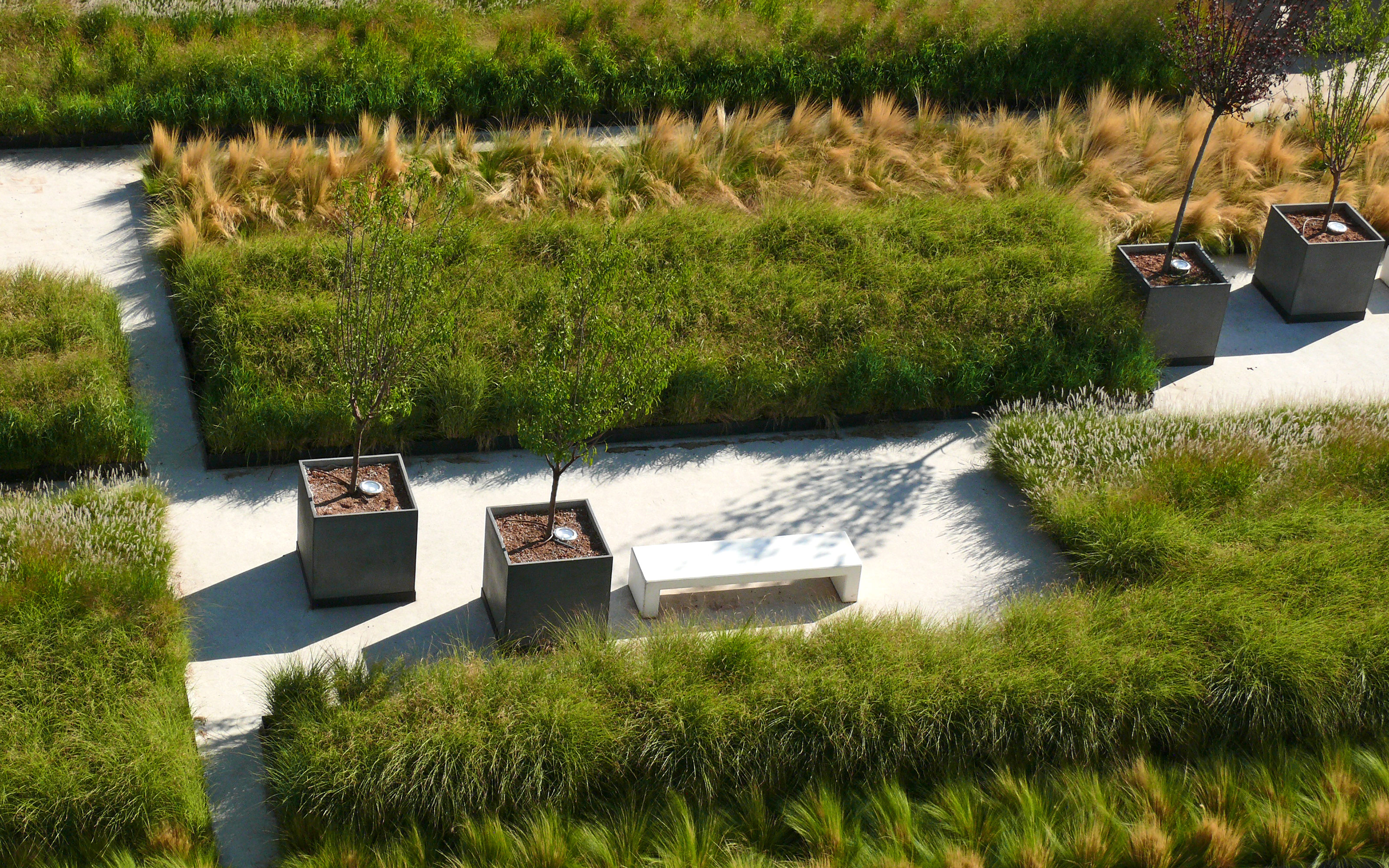 Between the single rows of plants benches and trees in planters are situated.   Bird's eye view onto a roof garden with ornamental grasses, planters and paved areas